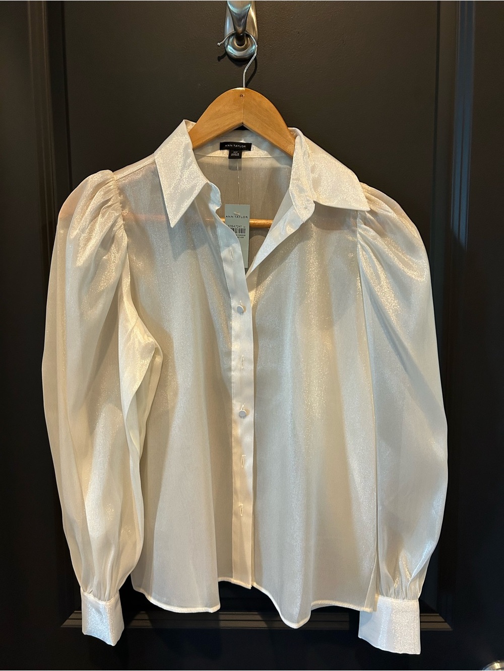 Ann Taylor Ivory Shimmer Puff-Sleeve Organza Button-Down Blouse NWT